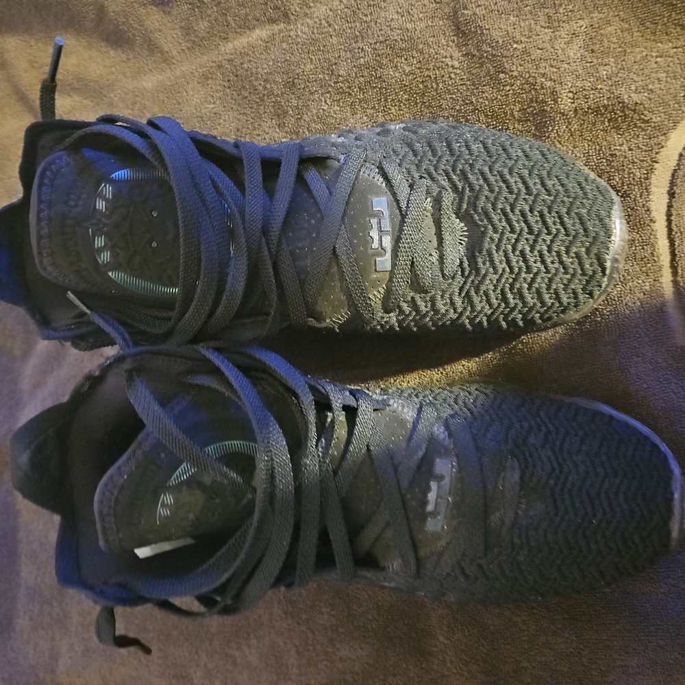 Lebron - Picture 2 of 3